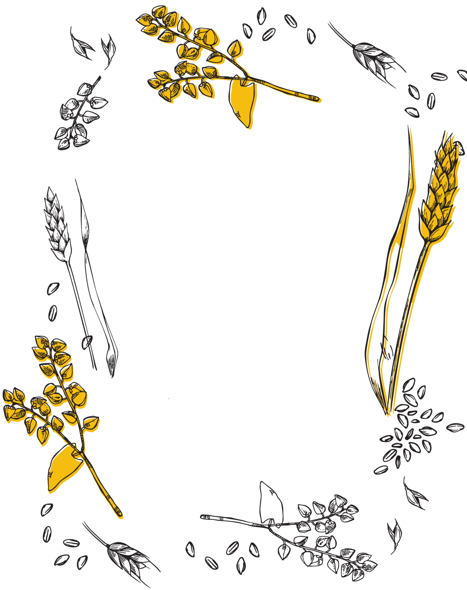 Image décorative